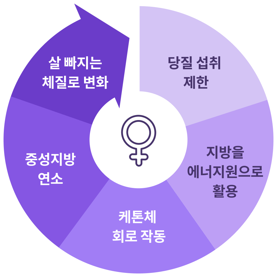 당질조절 과정